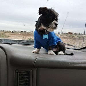 Meet your Posher, Froilan